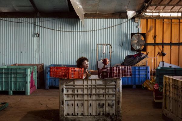 以色列-哈马斯战争：在Kfar Bilu的Polishuk农场，志愿者取代了工人